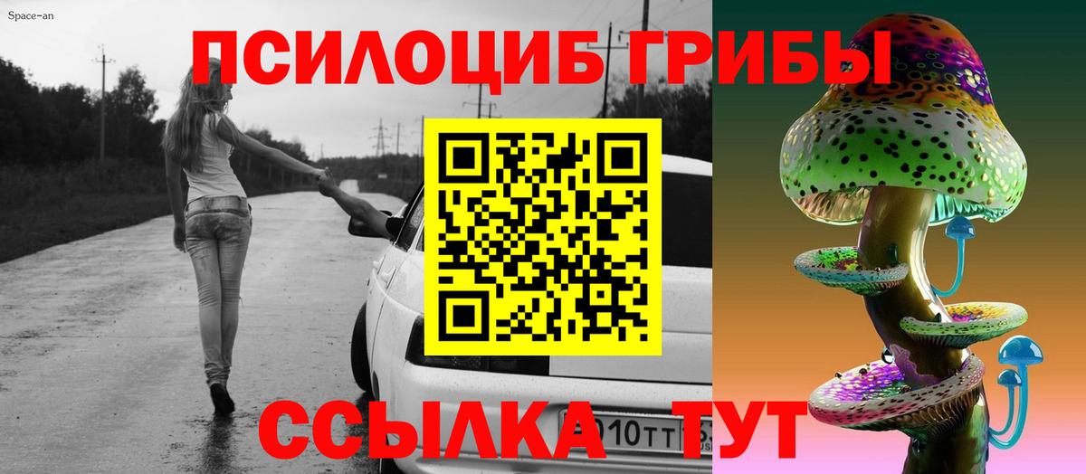 Псилоцибиновые грибы Psilocybe Карачаевск
