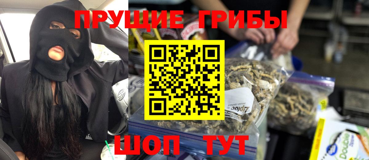 Псилоцибиновые грибы мухоморы  Вход с VPN  наркота  Галлюциногенные грибы GOLDEN TEACHER  Карачаевск 